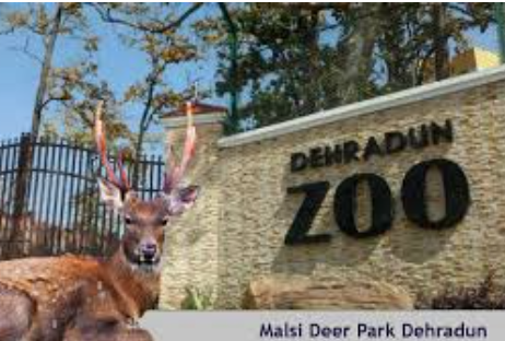 Malsi Deer Park